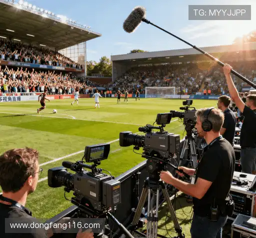 我们的专业团队